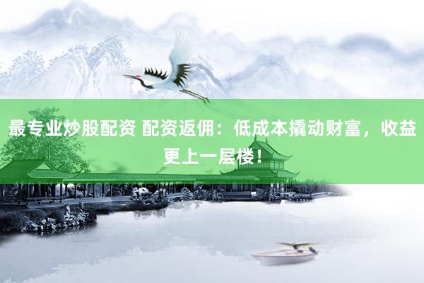 最专业炒股配资 配资返佣：低成本撬动财富，收益更上一层楼！