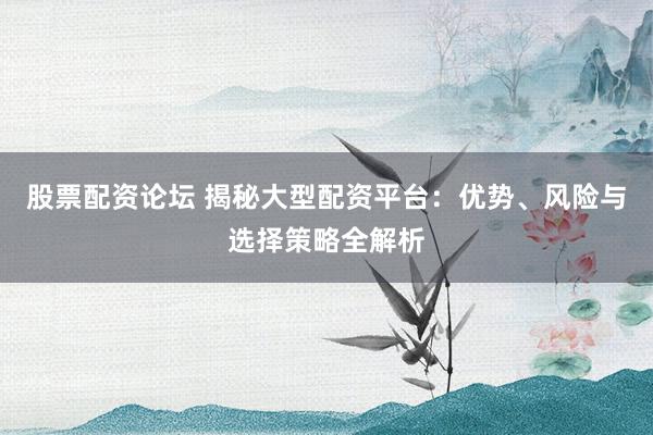 股票配资论坛 揭秘大型配资平台：优势、风险与选择策略全解析