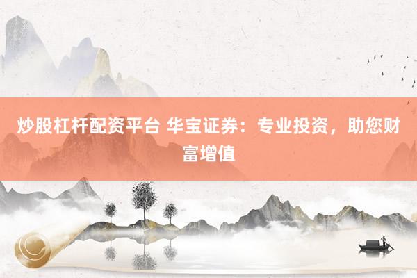 炒股杠杆配资平台 华宝证券：专业投资，助您财富增值
