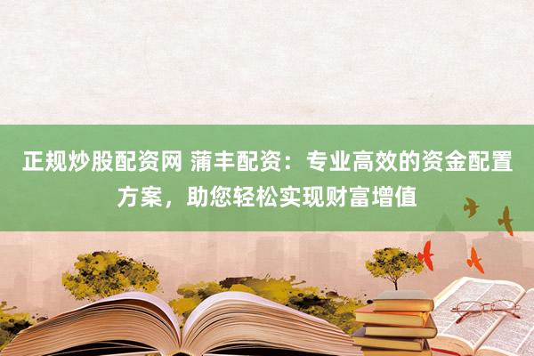 正规炒股配资网 蒲丰配资：专业高效的资金配置方案，助您轻松实现财富增值