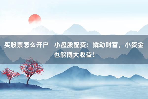 买股票怎么开户   小盘股配资：撬动财富，小资金也能博大收益！