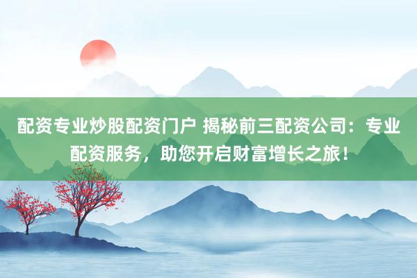 配资专业炒股配资门户 揭秘前三配资公司：专业配资服务，助您开启财富增长之旅！