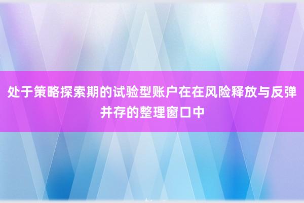 处于策略探索期的试验型账户在在风险释放与反弹并存的整理窗口中