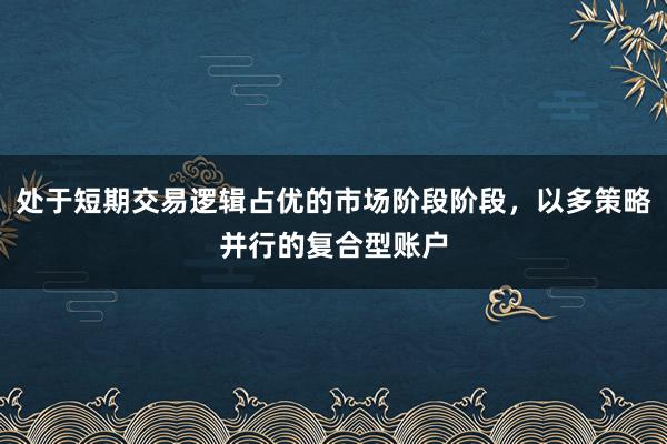 处于短期交易逻辑占优的市场阶段阶段，以多策略并行的复合型账户