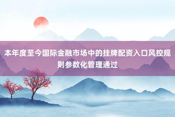 本年度至今国际金融市场中的挂牌配资入口风控规则参数化管理通过